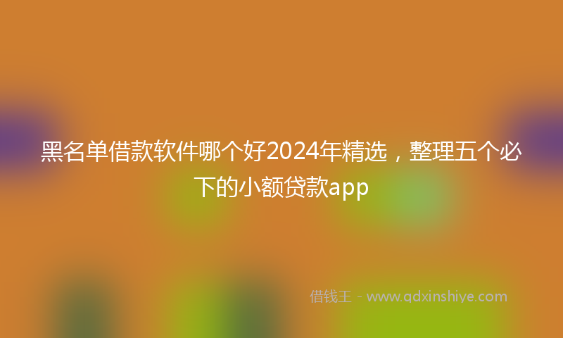 黑名单借款软件哪个好2024年精选，整理五个必下的小额贷款app