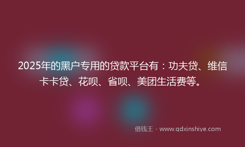 2025年的黑户专用的贷款平台有：功夫贷、维信卡卡贷、花呗、省呗、美团生活费等。