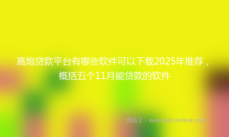 高炮贷款平台有哪些软件可以下载2025年推荐，概括五个11月能贷款的软件