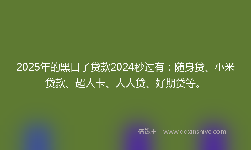 2025年的黑口子贷款2024秒过有：随身贷、小米贷款、超人卡、人人贷、好期贷等。