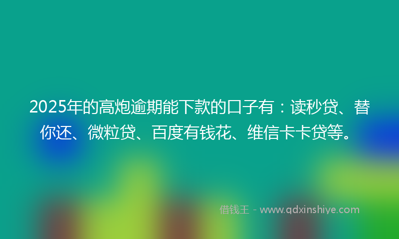 2025年的高炮逾期能下款的口子有：读秒贷、替你还、微粒贷、百度有钱花、维信卡卡贷等。