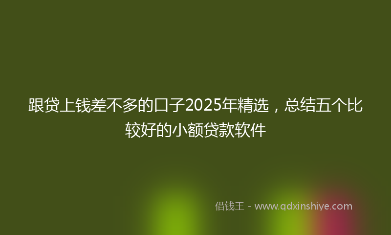 跟贷上钱差不多的口子2025年精选，总结五个比较好的小额贷款软件