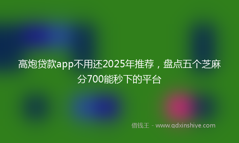 高炮贷款app不用还2025年推荐，盘点五个芝麻分700能秒下的平台