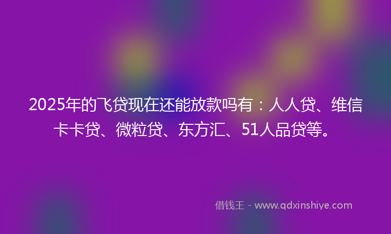 2025年的飞贷现在还能放款吗有：人人贷、维信卡卡贷、微粒贷、东方汇、51人品贷等。