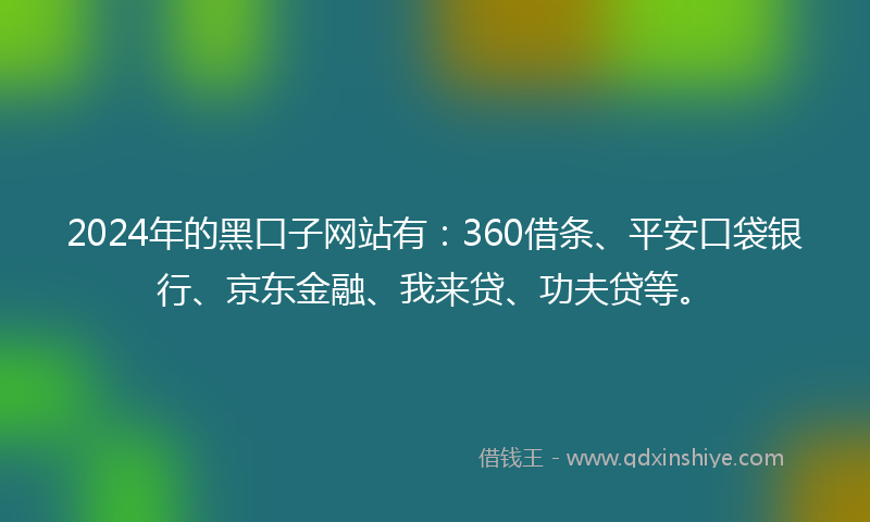 2024年的黑口子网站有：360借条、平安口袋银行、京东金融、我来贷、功夫贷等。