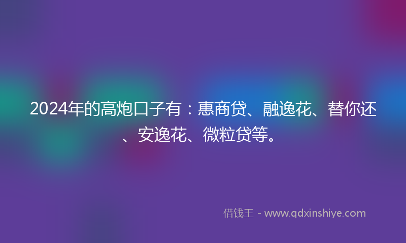 2024年的高炮口子有：惠商贷、融逸花、替你还、安逸花、微粒贷等。
