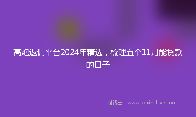 高炮返佣平台2024年精选，梳理五个11月能贷款的口子