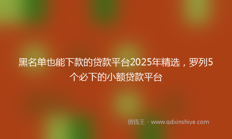 黑名单也能下款的贷款平台2025年精选，罗列5个必下的小额贷款平台