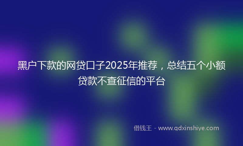 黑户下款的网贷口子2025年推荐，总结五个小额贷款不查征信的平台
