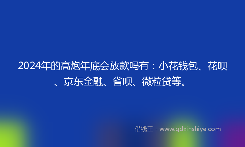 2024年的高炮年底会放款吗有：小花钱包、花呗、京东金融、省呗、微粒贷等。