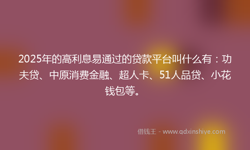 2025年的高利息易通过的贷款平台叫什么有：功夫贷、中原消费金融、超人卡、51人品贷、小花钱包等。