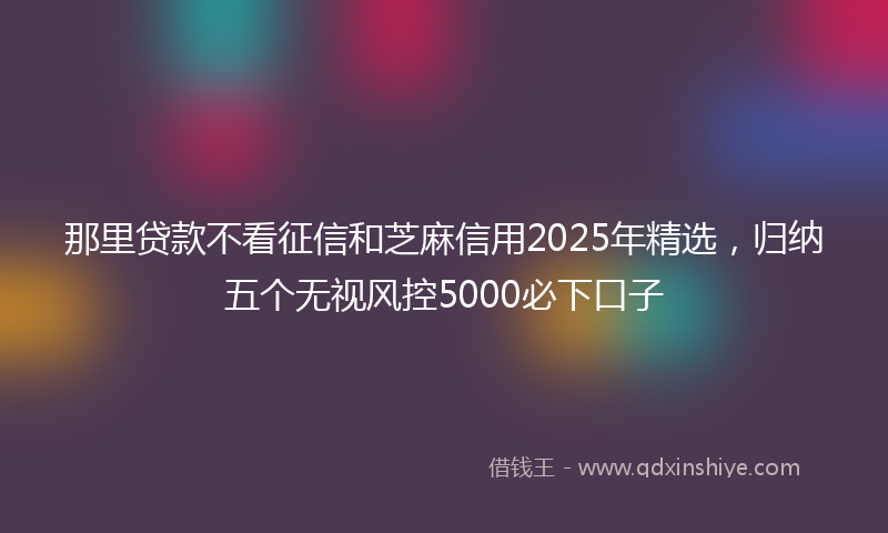 那里贷款不看征信和芝麻信用2025年精选，归纳五个无视风控5000必下口子
