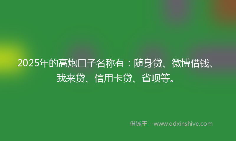 2025年的高炮口子名称有：随身贷、微博借钱、我来贷、信用卡贷、省呗等。