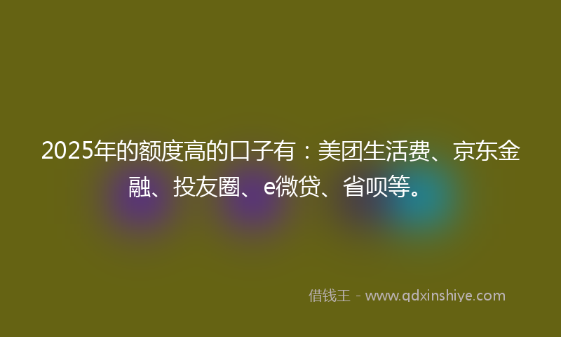 2025年的额度高的口子有：美团生活费、京东金融、投友圈、e微贷、省呗等。