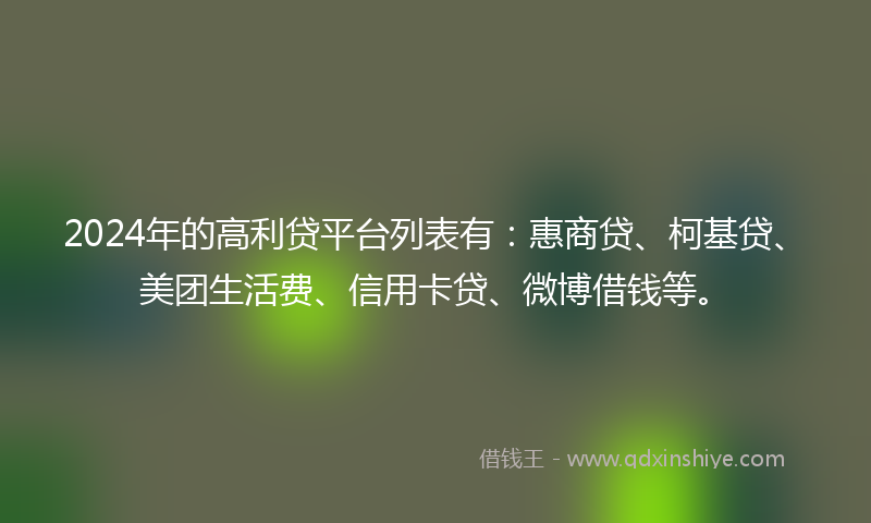 2024年的高利贷平台列表有：惠商贷、柯基贷、美团生活费、信用卡贷、微博借钱等。