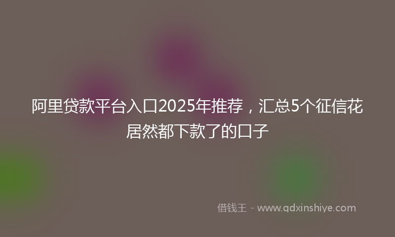 阿里贷款平台入口2025年推荐，汇总5个征信花居然都下款了的口子