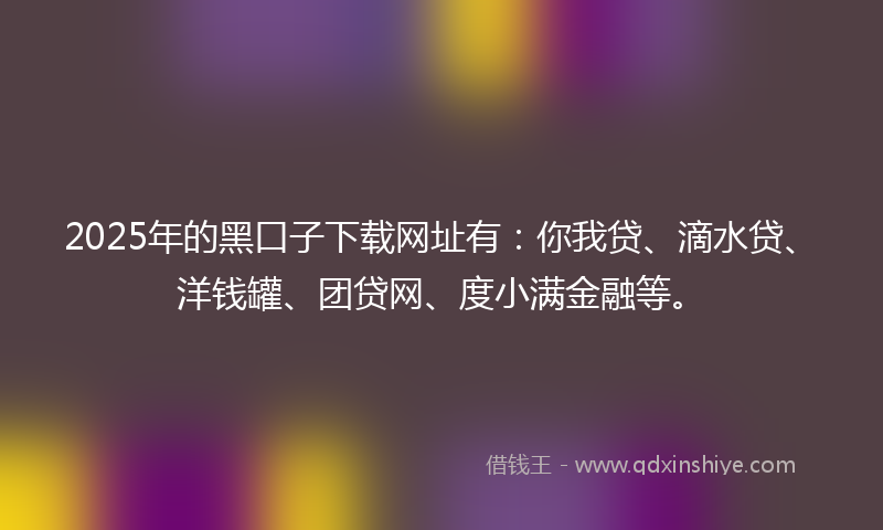 2025年的黑口子下载网址有：你我贷、滴水贷、洋钱罐、团贷网、度小满金融等。
