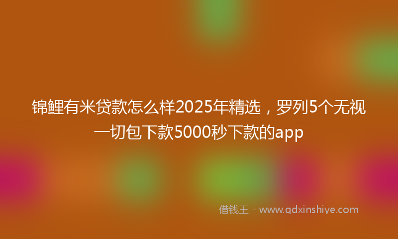 锦鲤有米贷款怎么样2025年精选，罗列5个无视一切包下款5000秒下款的app