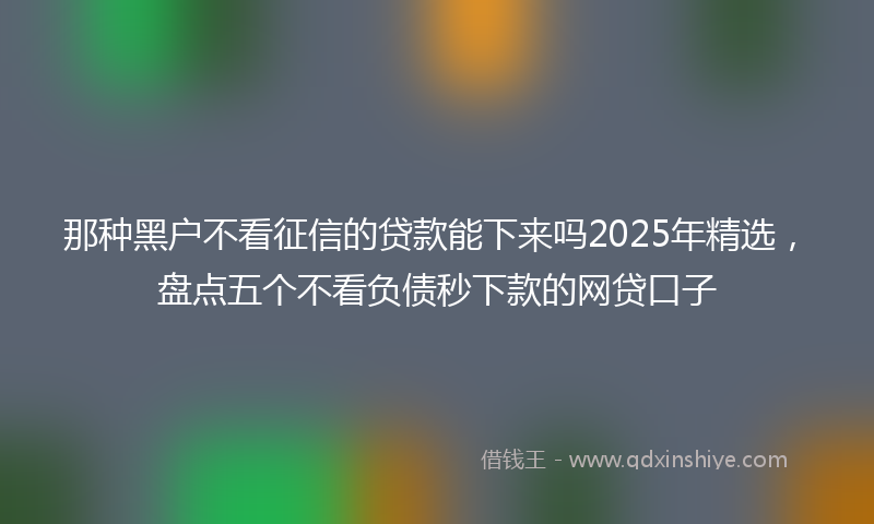 那种黑户不看征信的贷款能下来吗2025年精选，盘点五个不看负债秒下款的网贷口子
