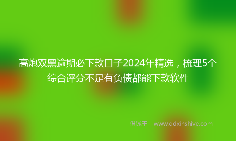 高炮双黑逾期必下款口子2024年精选，梳理5个综合评分不足有负债都能下款软件