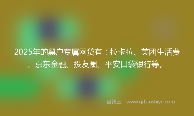 2025年的黑户专属网贷有：拉卡拉、美团生活费、京东金融、投友圈、平安口袋银行等。