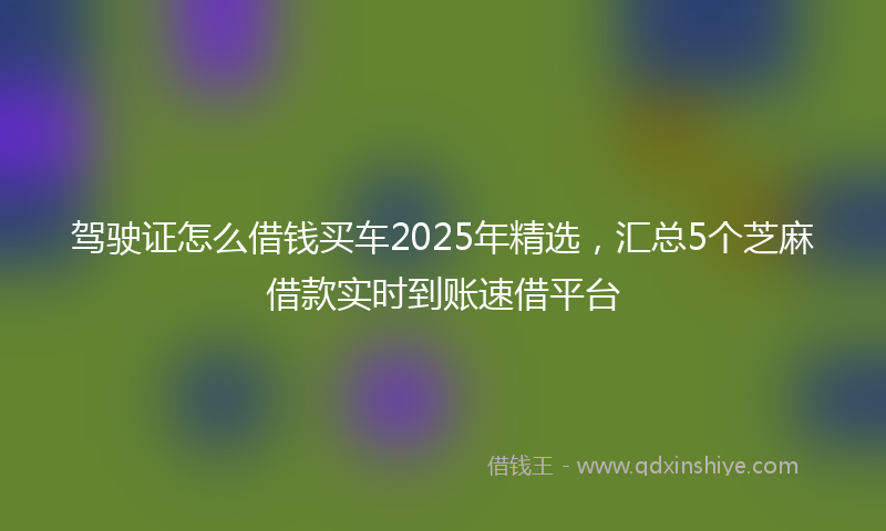 驾驶证怎么借钱买车2025年精选，汇总5个芝麻借款实时到账速借平台