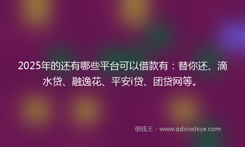 2025年的还有哪些平台可以借款有：替你还、滴水贷、融逸花、平安i贷、团贷网等。