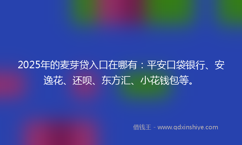 2025年的麦芽贷入口在哪有：平安口袋银行、安逸花、还呗、东方汇、小花钱包等。