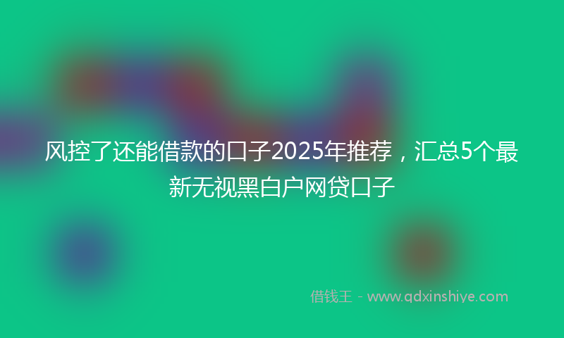 风控了还能借款的口子2025年推荐，汇总5个最新无视黑白户网贷口子