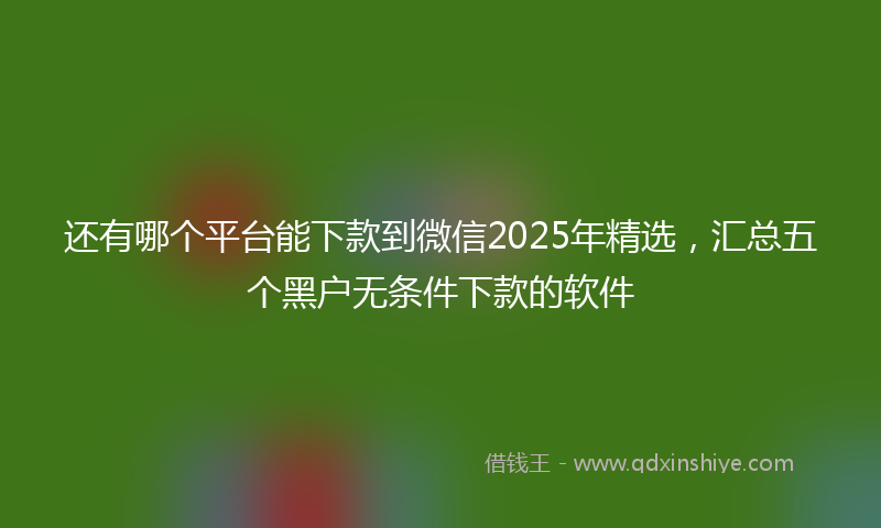还有哪个平台能下款到微信2025年精选，汇总五个黑户无条件下款的软件
