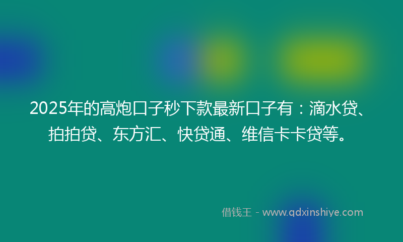 2025年的高炮口子秒下款最新口子有：滴水贷、拍拍贷、东方汇、快贷通、维信卡卡贷等。