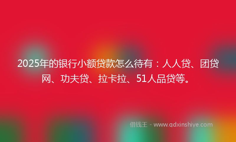 2025年的银行小额贷款怎么待有：人人贷、团贷网、功夫贷、拉卡拉、51人品贷等。
