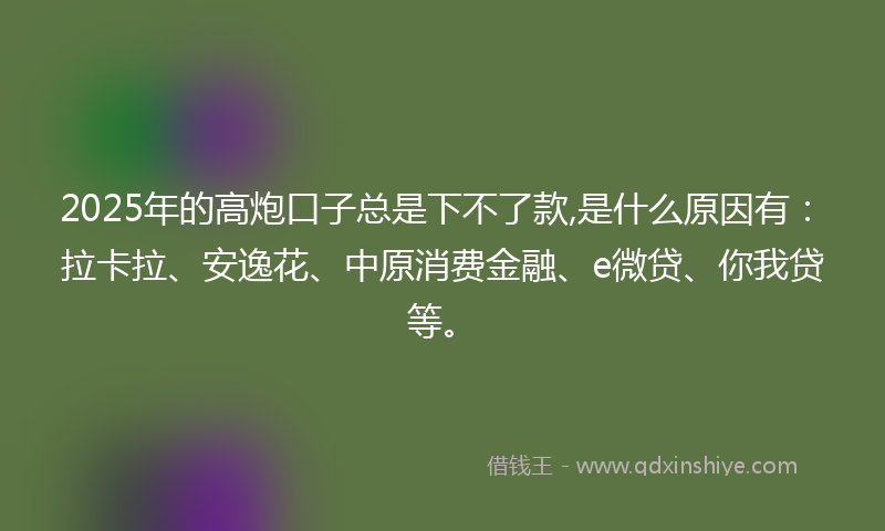 2025年的高炮口子总是下不了款,是什么原因有：拉卡拉、安逸花、中原消费金融、e微贷、你我贷等。