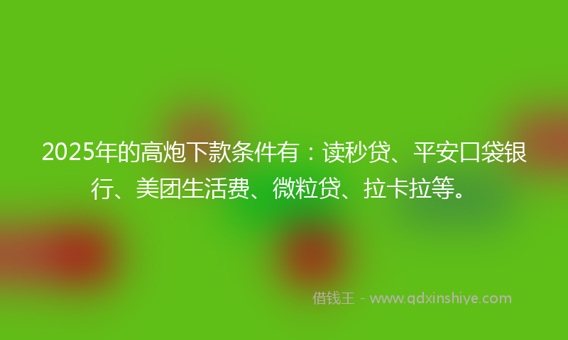 2025年的高炮下款条件有：读秒贷、平安口袋银行、美团生活费、微粒贷、拉卡拉等。