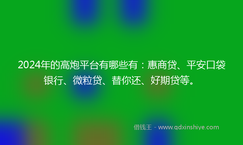 2024年的高炮平台有哪些有：惠商贷、平安口袋银行、微粒贷、替你还、好期贷等。