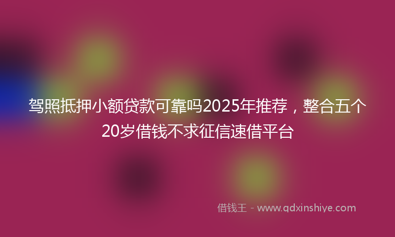 驾照抵押小额贷款可靠吗2025年推荐，整合五个20岁借钱不求征信速借平台