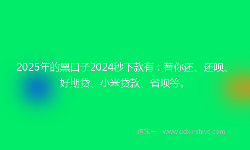 2025年的黑口子2024秒下款有：替你还、还呗、好期贷、小米贷款、省呗等。