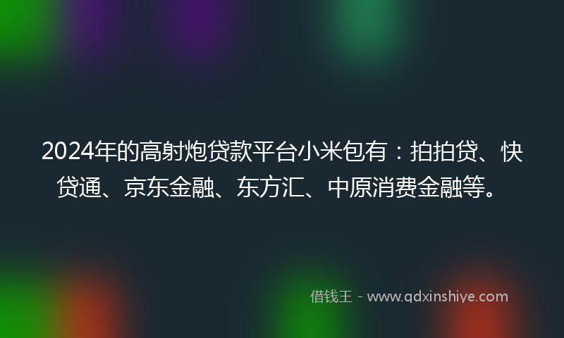 2024年的高射炮贷款平台小米包有：拍拍贷、快贷通、京东金融、东方汇、中原消费金融等。
