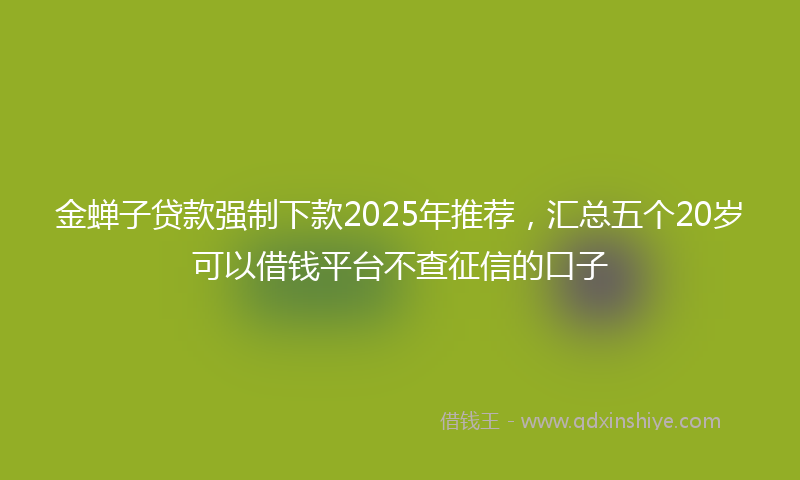 金蝉子贷款强制下款2025年推荐，汇总五个20岁可以借钱平台不查征信的口子