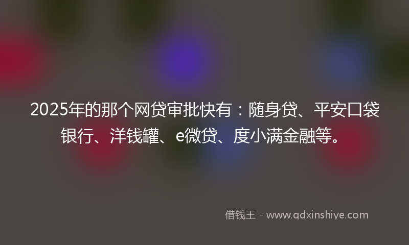 2025年的那个网贷审批快有：随身贷、平安口袋银行、洋钱罐、e微贷、度小满金融等。