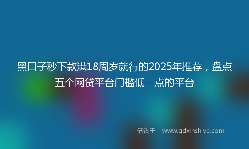 黑口子秒下款满18周岁就行的2025年推荐，盘点五个网贷平台门槛低一点的平台