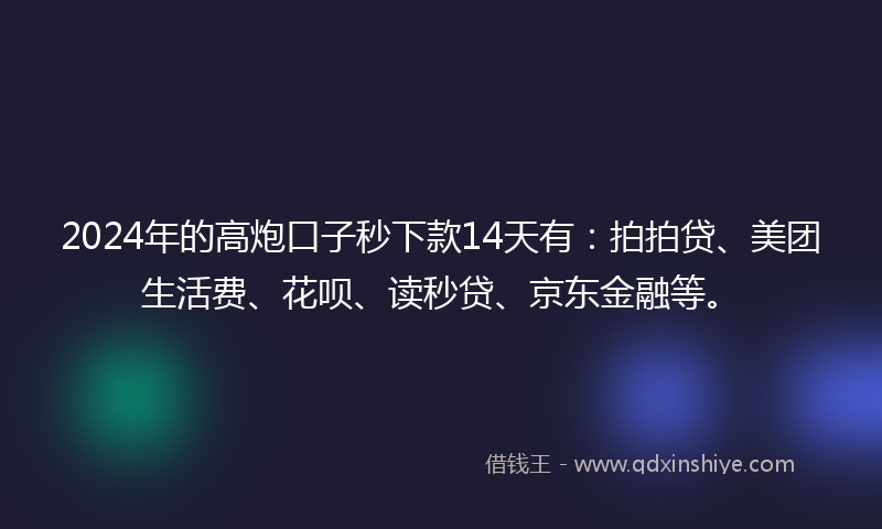 2024年的高炮口子秒下款14天有：拍拍贷、美团生活费、花呗、读秒贷、京东金融等。