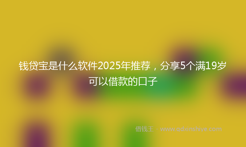 钱贷宝是什么软件2025年推荐，分享5个满19岁可以借款的口子