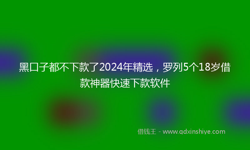 黑口子都不下款了2024年精选，罗列5个18岁借款神器快速下款软件