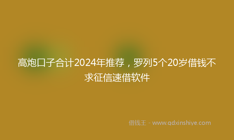 高炮口子合计2024年推荐，罗列5个20岁借钱不求征信速借软件