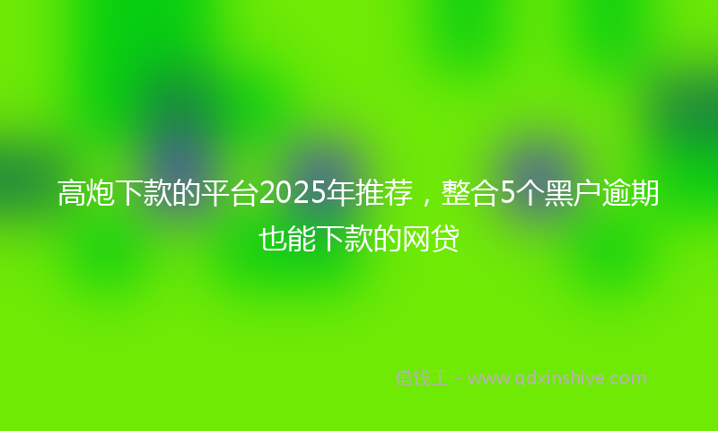 高炮下款的平台2025年推荐，整合5个黑户逾期也能下款的网贷