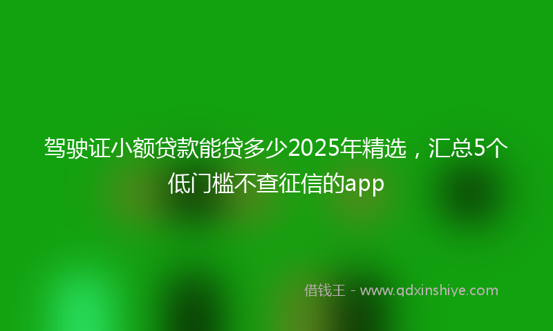 驾驶证小额贷款能贷多少2025年精选，汇总5个低门槛不查征信的app
