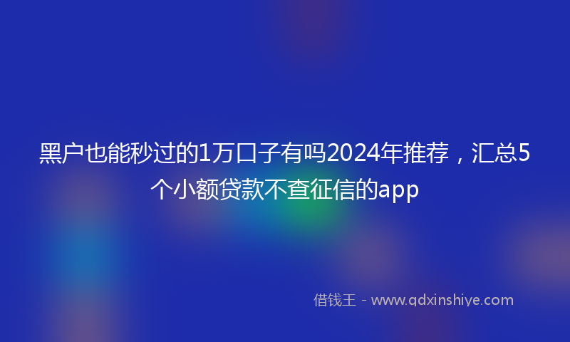 黑户也能秒过的1万口子有吗2024年推荐，汇总5个小额贷款不查征信的app