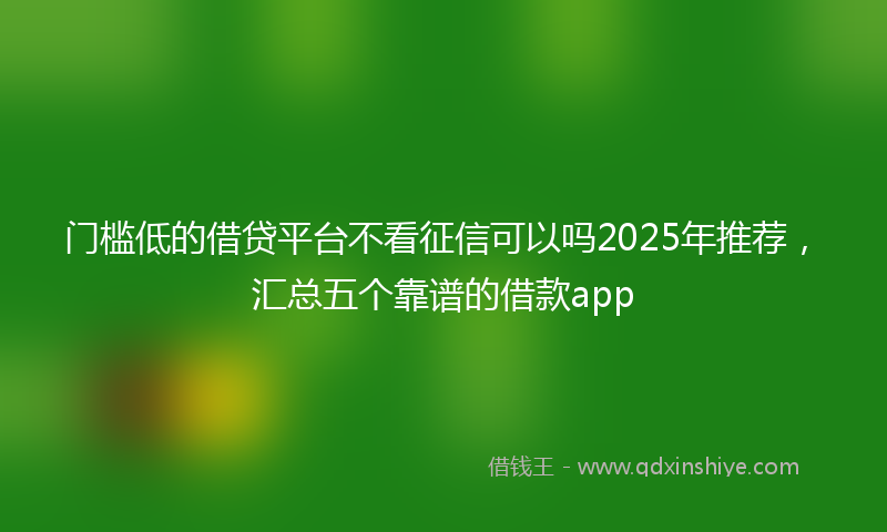 门槛低的借贷平台不看征信可以吗2025年推荐，汇总五个靠谱的借款app