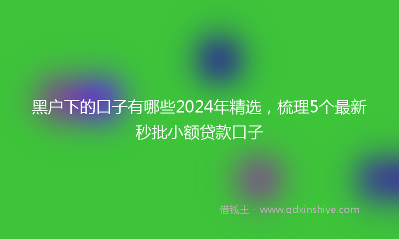 黑户下的口子有哪些2024年精选，梳理5个最新秒批小额贷款口子